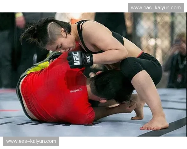 MMA集锦：热血瞬间与技术之美