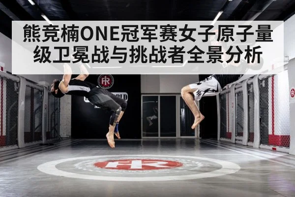 mixed martial arts training gym